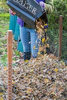 Empyting lawnmower bag of shredded Autumnal leaves to Leaf Mulch