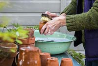 Cleaning terracotta pots in metallic bowl of bubbly water