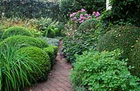 View towards the main entrance with Buxus sempervirens, Anemone 'Honorine Jobert' and Matteuccia struthiopteris.  The garden of Swedish garden designer and editor Ulla Molin 1909-1997 in Hoganas, Sweden, in 2005. 