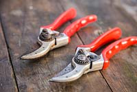 Reconditioned secateurs beside a set of rusty worn secateurs.