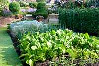 Onions, perpetual spinach and beans in vegetable beds with spiral Buxus topiary, raised brick Rosa bed and steps leading to flower garden and house beyond 