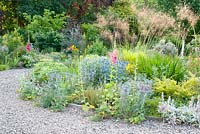 Hot dry bed by gravel drive with Stipa gigantea, Stachys byzantina, Eryngium, Crocosmia and Alcea 