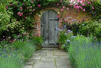 Wooden door in walled garden with climbing rose, perennial Campanula, Clematis. Stone path edged with Lavandula - lavender in July. Suffolk