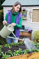 Watering newly planted bulbs and plugs in movable container