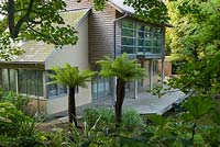 New build house at the end of the lake surrounded by grasses and tree ferns, with rowing boat moored beside the deck. 