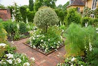 White garden with concrete path inset with brick patterning and white Rosa Flower Carpet White = 'Noaschnee' around topiarised variegated shrub in the centre and surrounded by foxgloves, delphiniums and clematis