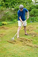 Man scarifying lawn with spring tine rake  to remove moss and thatch.