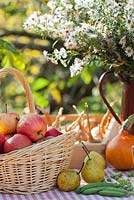 Wicker basket of apples - Malus 'Jonathan', pears - Pyrus 'Brunnenbirne', pumpkin 'Hokkaido', peas 'Kelvedon Wonder' and jug of asters.