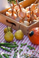 Display of harvested vegetables on a table with pumpkin 'Hokkaido', pears Pyrus 'Brunnenbirne', peas Pisum 'Kelvedon Wonder' and box of onions Allium 'Sturon'.