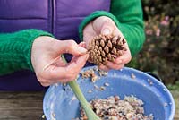 Attaching hook to pine cone