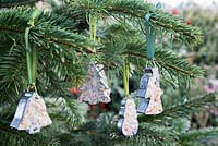 Cookie cutter bird feeders on a Christmas tree.