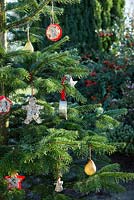 Cookie cutter bird feeders hanging from a Christmas tree