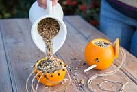 Filling Bird feeders made from Oranges, using string, cloves and a chopstick