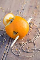 Bird feeder made from an Orange, using string and a chopstick