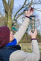 Hanging clean bird feeders on tree branches