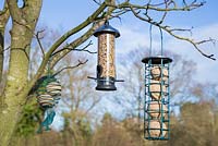 Clean and refilled bird feeders hanging on tree