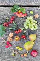 Autumnal display of fruits, nuts and berries on a wooden surface