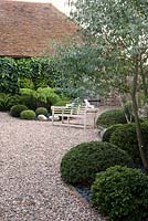 Formal Japanese themed garden with clipped shrubs, stones, gravel, Ferns and Eucalyptus