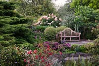 Wooden bench overlooking pond with Hydrangea paniculata, conifer, Sedum and Eucomis in country garden 