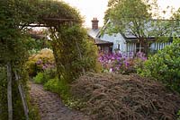 Cottage garden in summer with extensive border of Alliums, archway and Cotoneaster