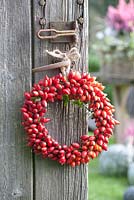 Wreath of rose hips 