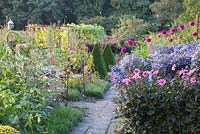 Kitchen garden with flowering borders of Dahlia 'HS Juliet', Dahlia 'Deborah Renee', Aster 'Little Carlow' and Buxus