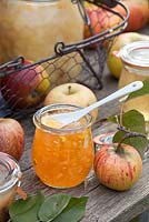 Apple marmalade made from Malus domestica 'Cox Orange'