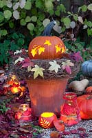 Pumpkin lantern display