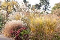Autumnal border with Panicum virgatum 'Northwind', Sedum 'Herbstfreude', Miscanthus sinensis 'Roland', Miscanthus olygostachyus 'Nanus Variegatus' and Chasmanthium latifolium