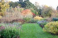 Autumnal garden with Sedum 'Matrona', Amsonia tabernaemontana, Agastache mexicana 'Red Fortune' and Geranium 'Orion'