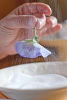 After painting with egg white the flower is sprinkled with fine sugar