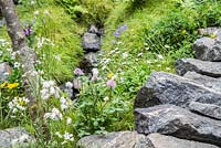 Trifolium pratense and Eriophorum angustifolium in a meadow surrounded by a Dry Stone wall. Artisan Garden: Motor Neurone Disease - A Hebridean Weaver's Garden. 