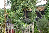 Kitchen garden with Pyrus communis 'Kruidenierspeer'