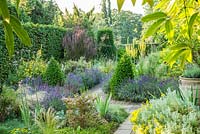 The Dry Garden, Cambridge Botanic Gardens in July. Box and Yew topiary, lavender, irises, santolina, verbena,  grasses and Berberis thunbergii f. atropurpurea 'Helmond Pillar'.