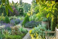 The Dry Garden, Cambridge Botanic Gardens in June. Box and Yew topiary, lavender, irises, santolina, verbena,  grasses and Berberis thunbergii f. atropurpurea 'Helmond Pillar'.