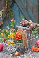 Display of autumn berries and millet for bird feeder including  - Pyracantha Soleil d'Or, Sorbus, Malus, Setaria italica