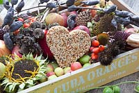 Display with heart shaped bird cake and dried flowers of Papaver somniferum, Helianthus annuus, Echinacea purpurea and Malus domestica