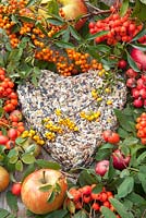 Heart of birdseed, decorated with rose hips and apples 