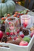 Candles with ornamental apples and ornamental cucumbers - Malus 'Red Sentinel' and Cucumis