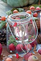 Candle in glass jar lantern with autumn display using Malus 'Red Sentinel'