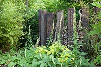 Decorative feature fence in the Rust Garden with Bamboo and Digitalis lutea