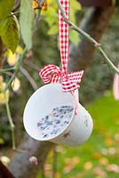 Bird feed in old cup hanging from tree