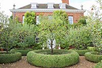 Front garden with apple trees - Malus domestica