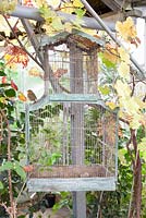 Decorative birdhouse inside greenhouse with robin