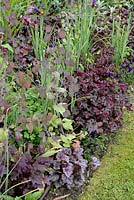 Dark border with Lunaria annua, Viola, Heuchera 'Frosted Violet' and 'Palace Purple'