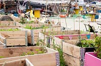 City farming at Roest Amsterdam by renting a wooden container.