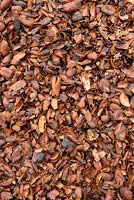 Cocoa shells used as mulch