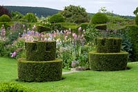 Yew topiary castellated with perennial border 