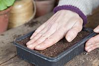 Gently compressing compost