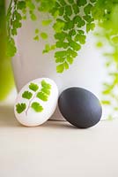 Blown egg painted black, decorated with paper cut out and duck egg with cutting of Maidenhair Fern - Adiantum